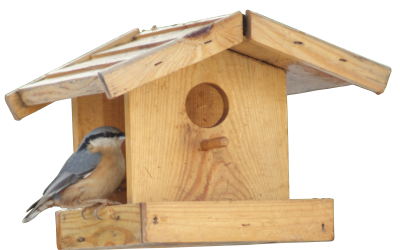 KONKURS NA RODZINNY KARMNIK DLA PTAKÓW