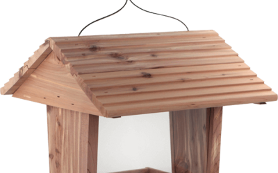 KONKURS NA RODZINNY KARMNIK DLA PTAKÓW