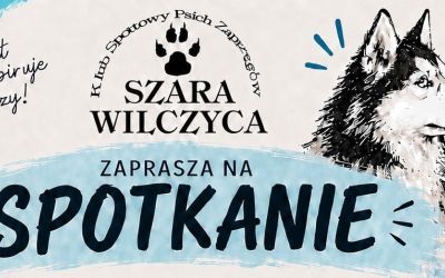 SZARA WILCZYCA ZAPRASZA!