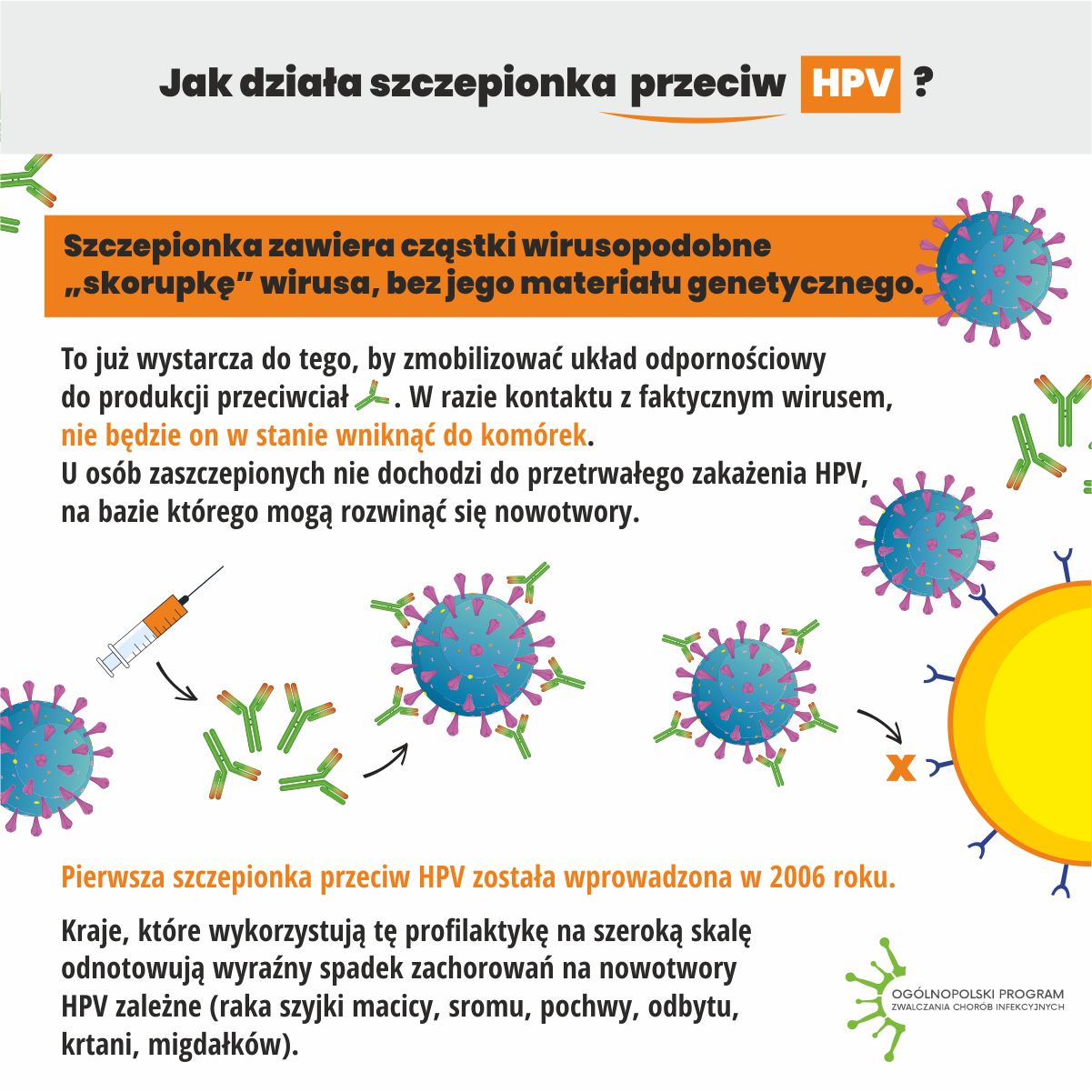 Szczepienia_przeciw_HPV_infograph_6.png