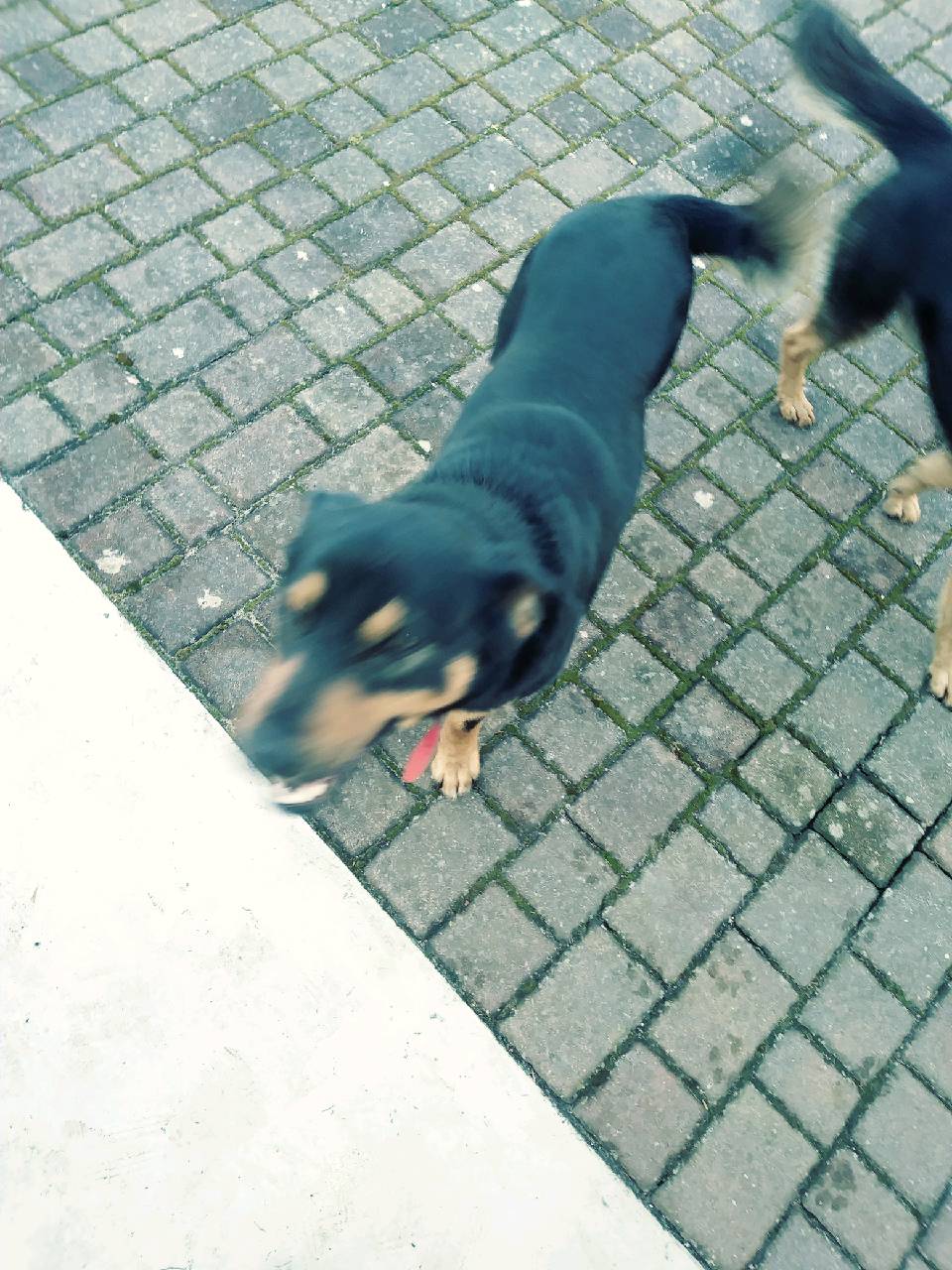 WhatsApp Image 2021 02 24 at 07.22.33