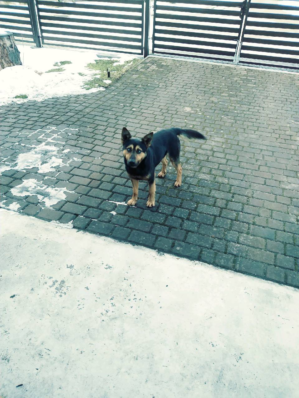 WhatsApp Image 2021 02 24 at 07.22.46