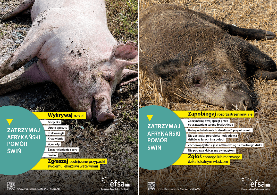 asf_zatrzymaj_plakat_efsa_otwierajace-min.png