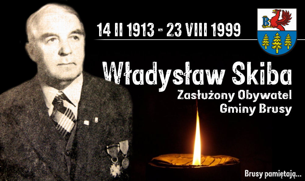 skiba_zasluzony.png