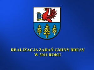 REALIZACJA ZADAŃ W 2011 ROKU