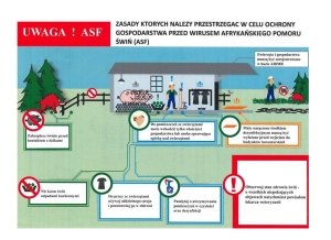 AFRYKAŃSKI POMÓR ŚWIŃ - informacje