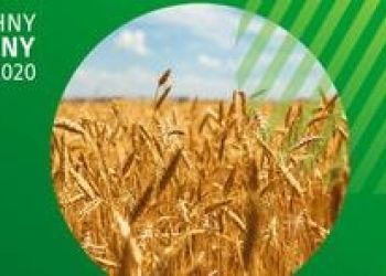 Informacje o działaniach Gminnego Biura Spisowego w Brusach