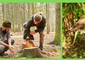 WIZYTA WOLONTARIUSZY - UCZNIÓW Z TECHNIKUM LEŚNEGO W WARCINIE - zaproszenie na spotkanie