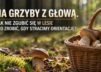 NA GRZYBY Z GŁOWĄ. JAK NIE ZGUBIĆ SIĘ W LESIE I CO ZROBIĆ, GDY STRACIMY ORIENTACJĘ?