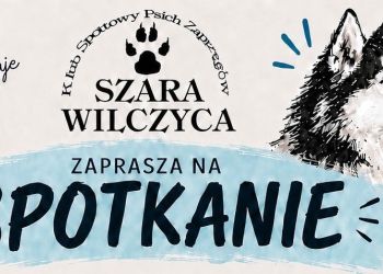 SZARA WILCZYCA ZAPRASZA!