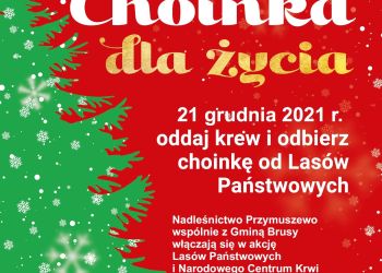 Akcja "Choinka dla życia"