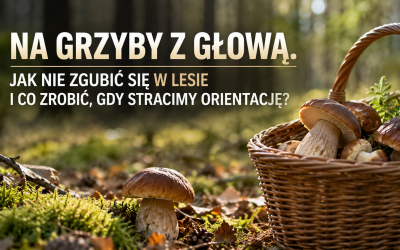 NA GRZYBY Z GŁOWĄ. JAK NIE ZGUBIĆ SIĘ W LESIE I CO ZROBIĆ, GDY STRACIMY ORIENTACJĘ?
