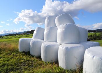 ODBIÓR I UNIESZKODLIWIANIE FOLII ROLNICZYCH