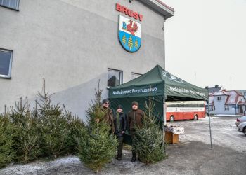 ŚWIĄTECZNA AKCJA POBORU KRWI W BRUSACH