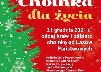 Akcja "Choinka dla życia"