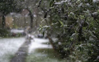 ❗️OSTRZEŻENIE METEO ❗️
