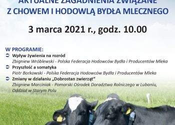 Chów i hodowla bydła mlecznego - konferencja PODR