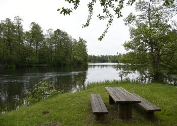 MĘCIKAŁ I GOSPODARSTWO Z ZALESIA NAJPIĘKNIEJSZE W POWIECIE