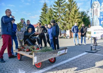 KREATYWNIE MOBILNI W BRUSACH