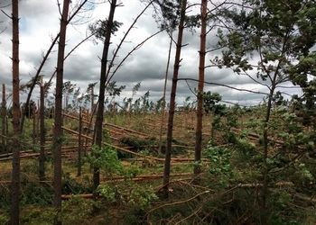 BRUSY – TRZY LATA PO NAWAŁNICY